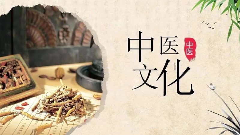 刮痧拔罐：传统养生，现代生活新选择